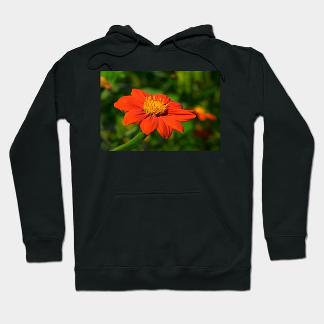 Mexican Marigold - 2 Hoodie by RosNapier